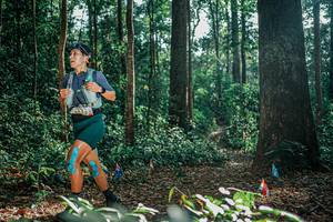 BIB: 
                            <button type="button" onclick="openModal(26070220)" class="btn btn-primary btn-sm float-right btn-popup" data-toggle="modal" data-target=".modal-high-quality">
                        <i class="fas fa-shopping-cart"></i> Add to Cart
                    </button>
                                            <button type="button" onclick="isThisMe(26070220, true)" class="btn btn-success btn-sm float-right btn-popup btn-isme hidden" data-toggle="tooltip" data-placement="bottom" title="นี่คือรูปของคุณใช่ไหม คลิกที่นี่เพื่อเอาเข้าอัลบั้ม">
                        <i class="fas fa-plus"></i> Add to album
                    </button>
                    <button type="button" onclick="isThisMe(26070220, false)" class="btn btn-warning btn-sm float-right btn-popup btn-isnotme hidden">
                        <i class="fas fa-ban"></i> Remove from album
                    </button>